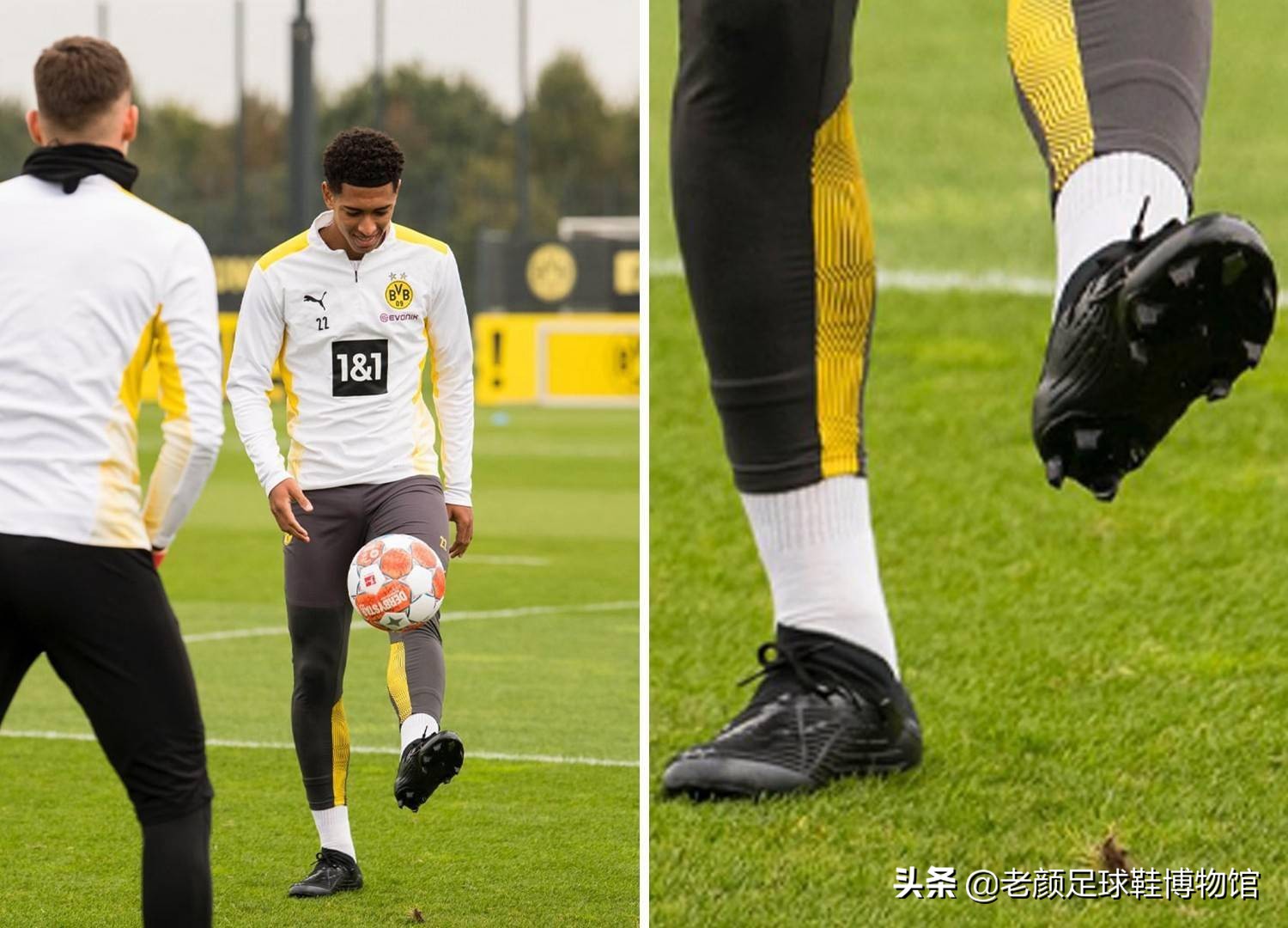 侦测到打野 侦测到打野